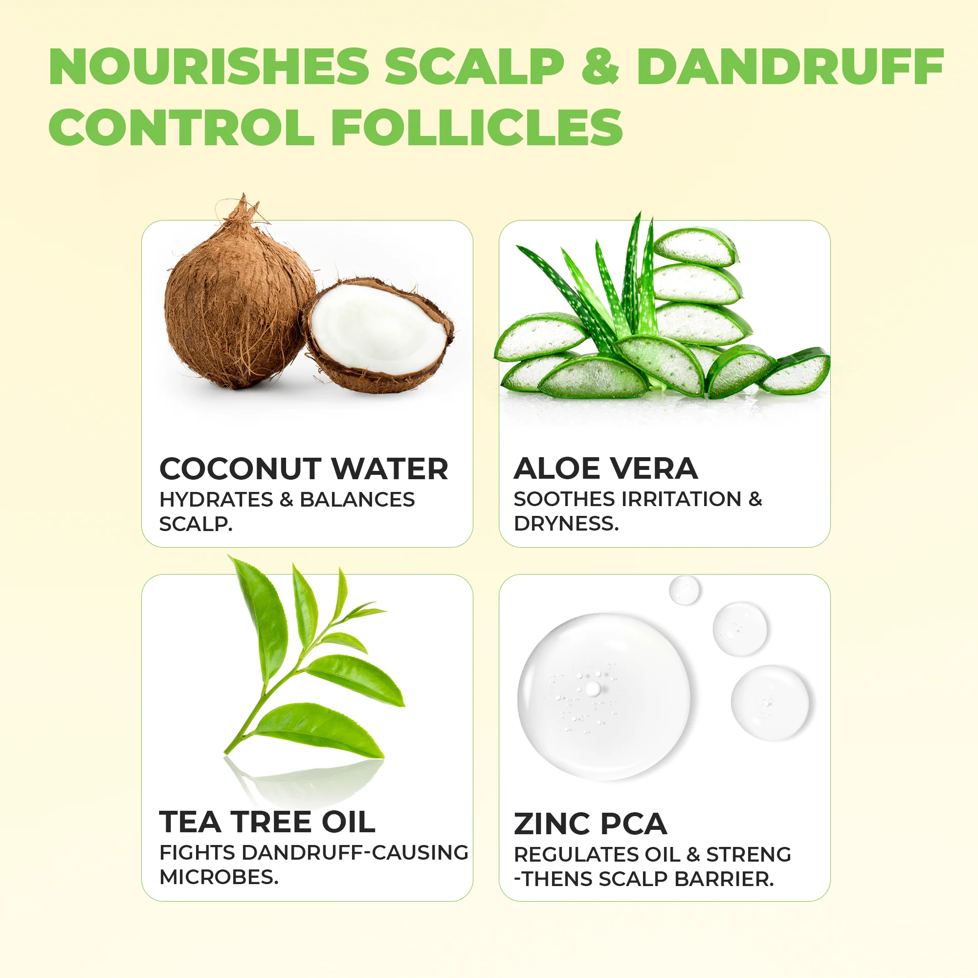 Shakuntala Hair Cleanser for Dandruff - Image 8